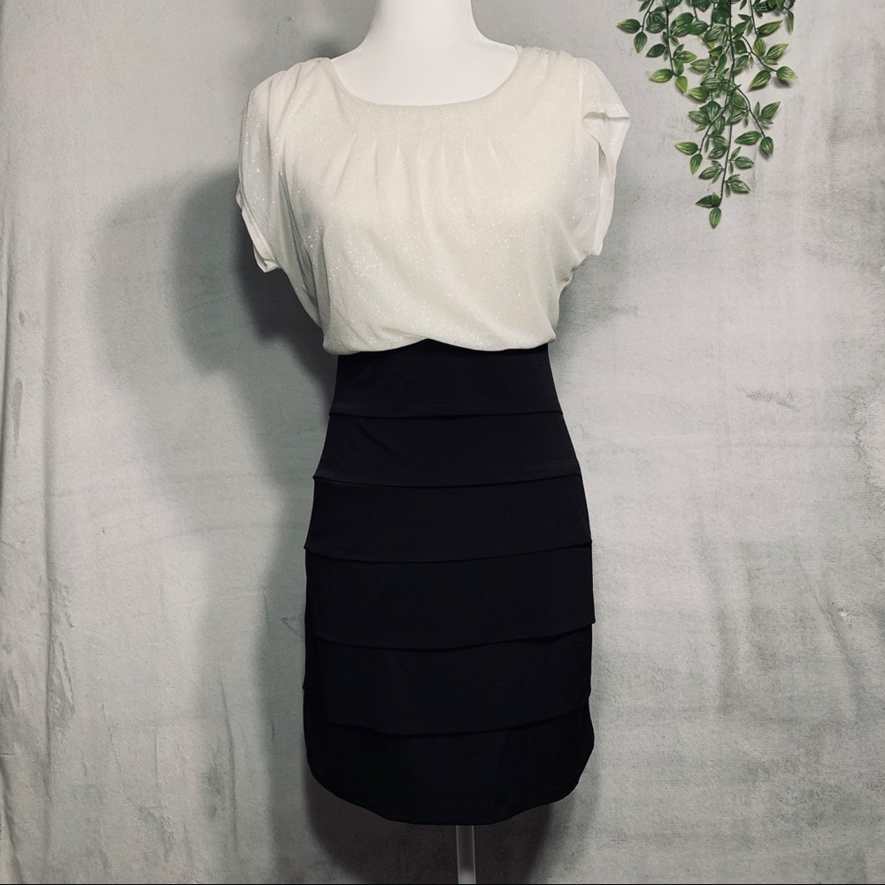 Sweet Storm | Black and White Mini Dress